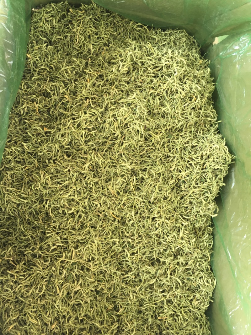 金银花绿版金银花2025年新金银花