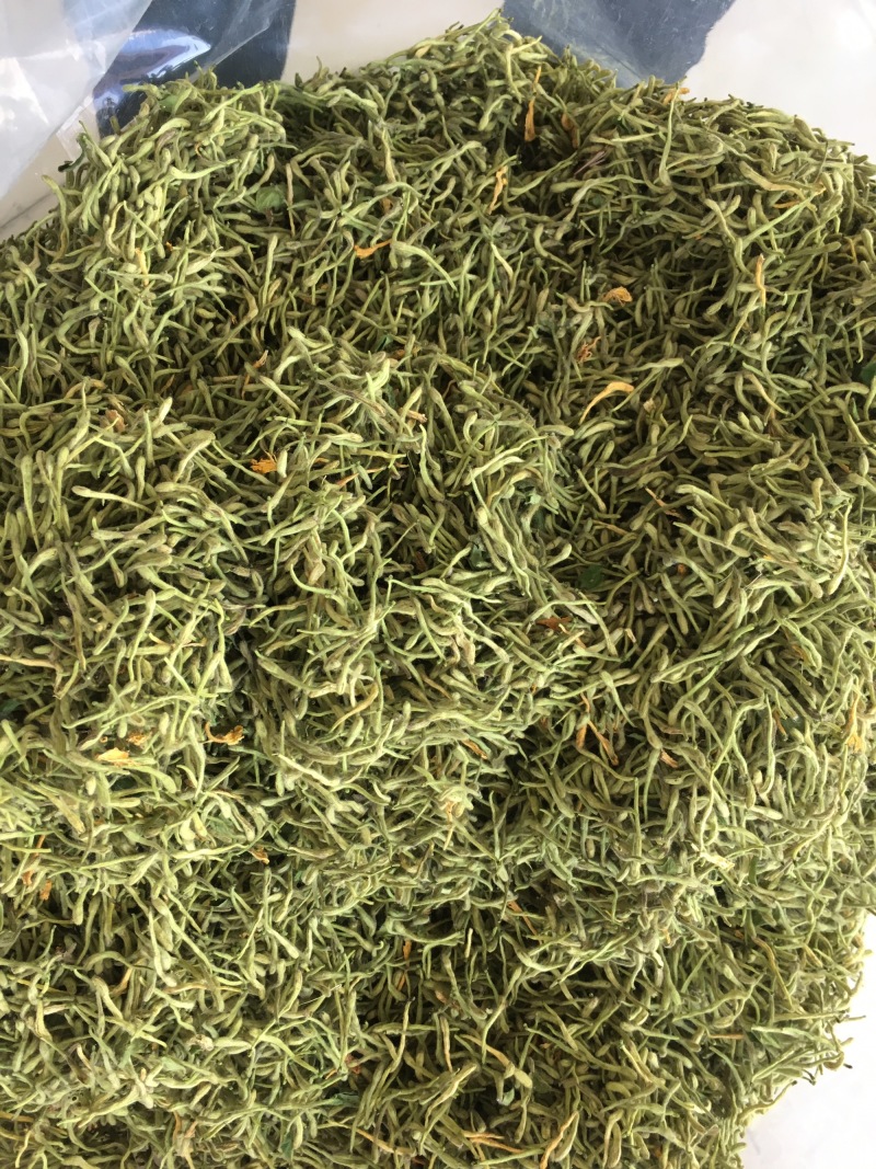 金银花绿版金银花2025年新金银花
