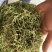 金银花绿版金银花2025年新金银花