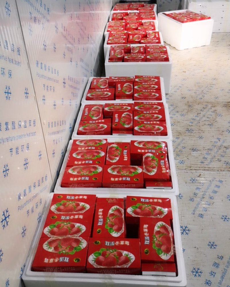 蒙特瑞四季草莓，烘培草莓，商用草莓水果花