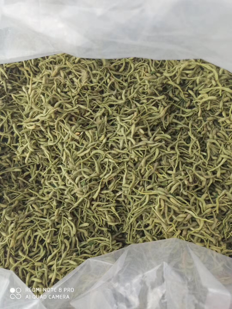 金银花绿版金银花2025年新金银花