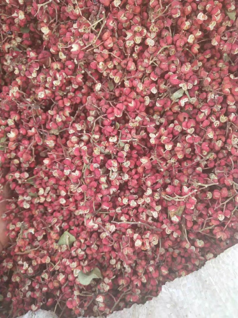 韩城独特香麻花椒面/麻到嘴跳调味必备批发零售均可全国发货