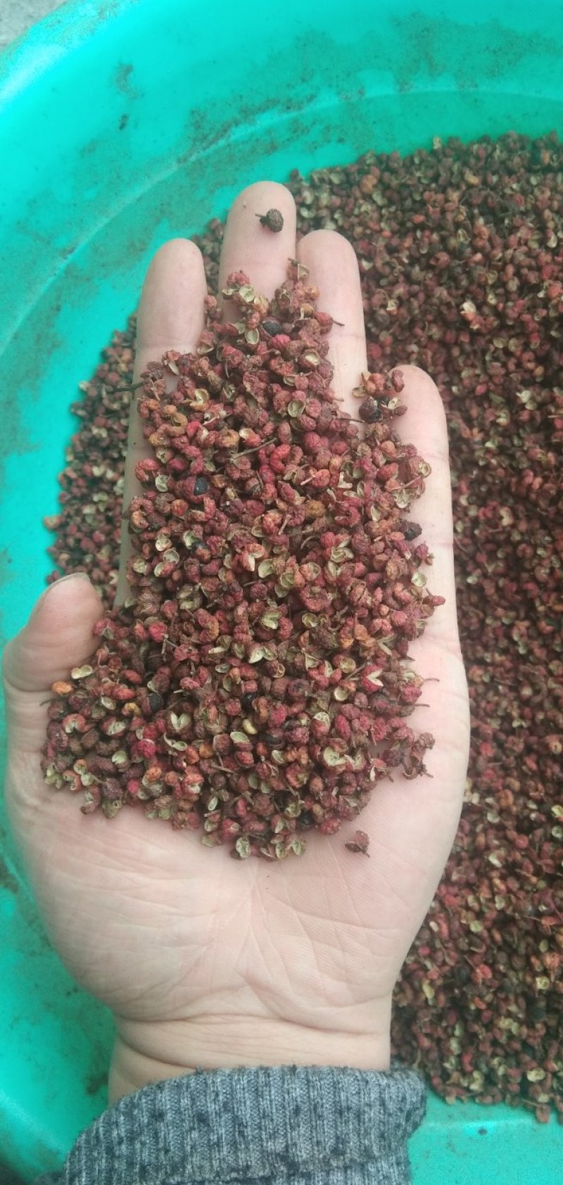 韩城独特香麻花椒面/麻到嘴跳调味必备批发零售均可全国发货