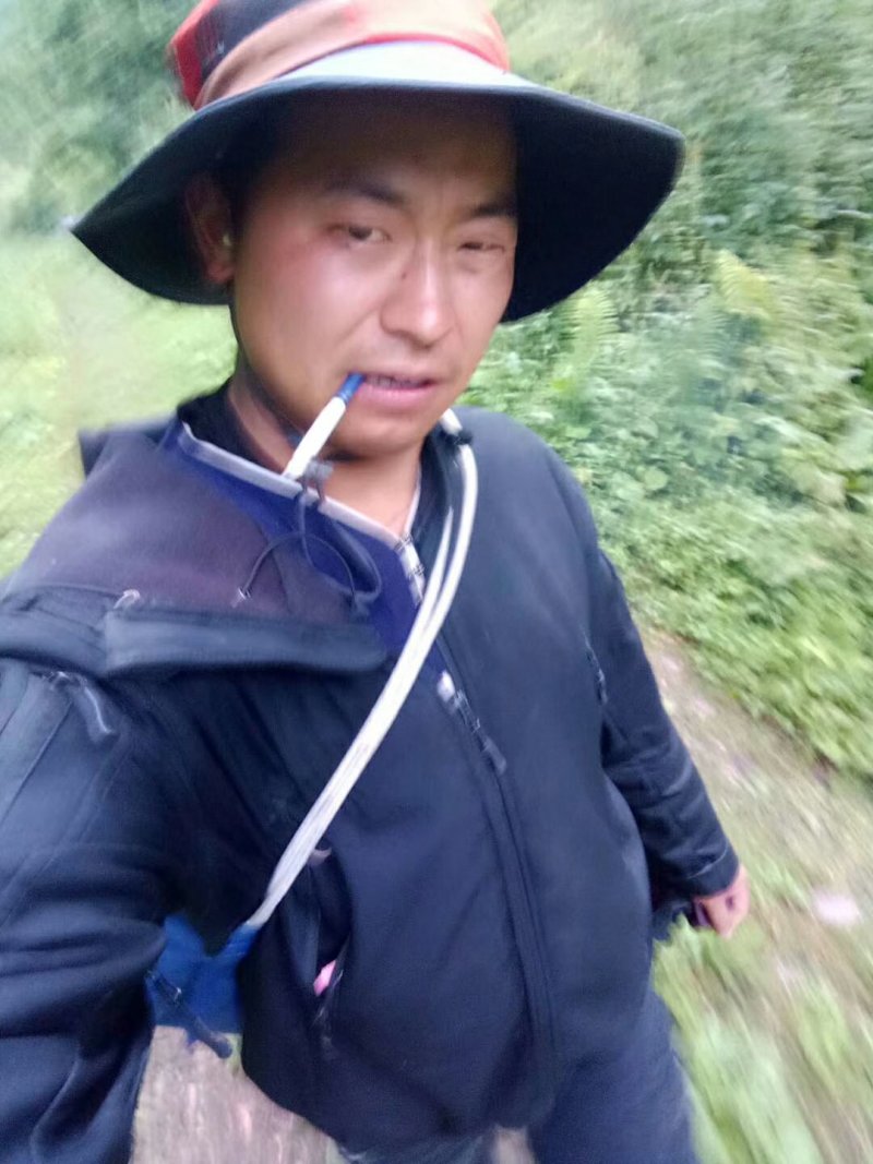冬虫夏草，顺丰包邮真空包装,30起根包邮顺丰