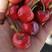 樱桃精品美早红灯一手货源现摘现发质量保障全国发货
