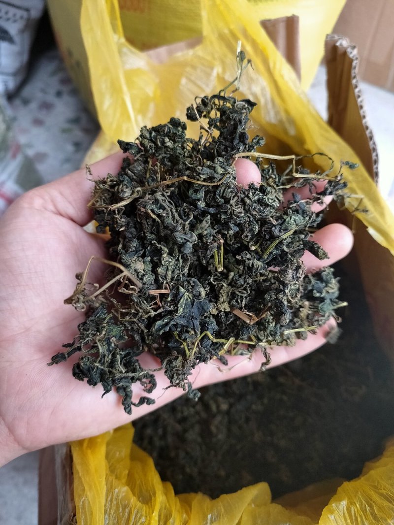 绞股蓝茶