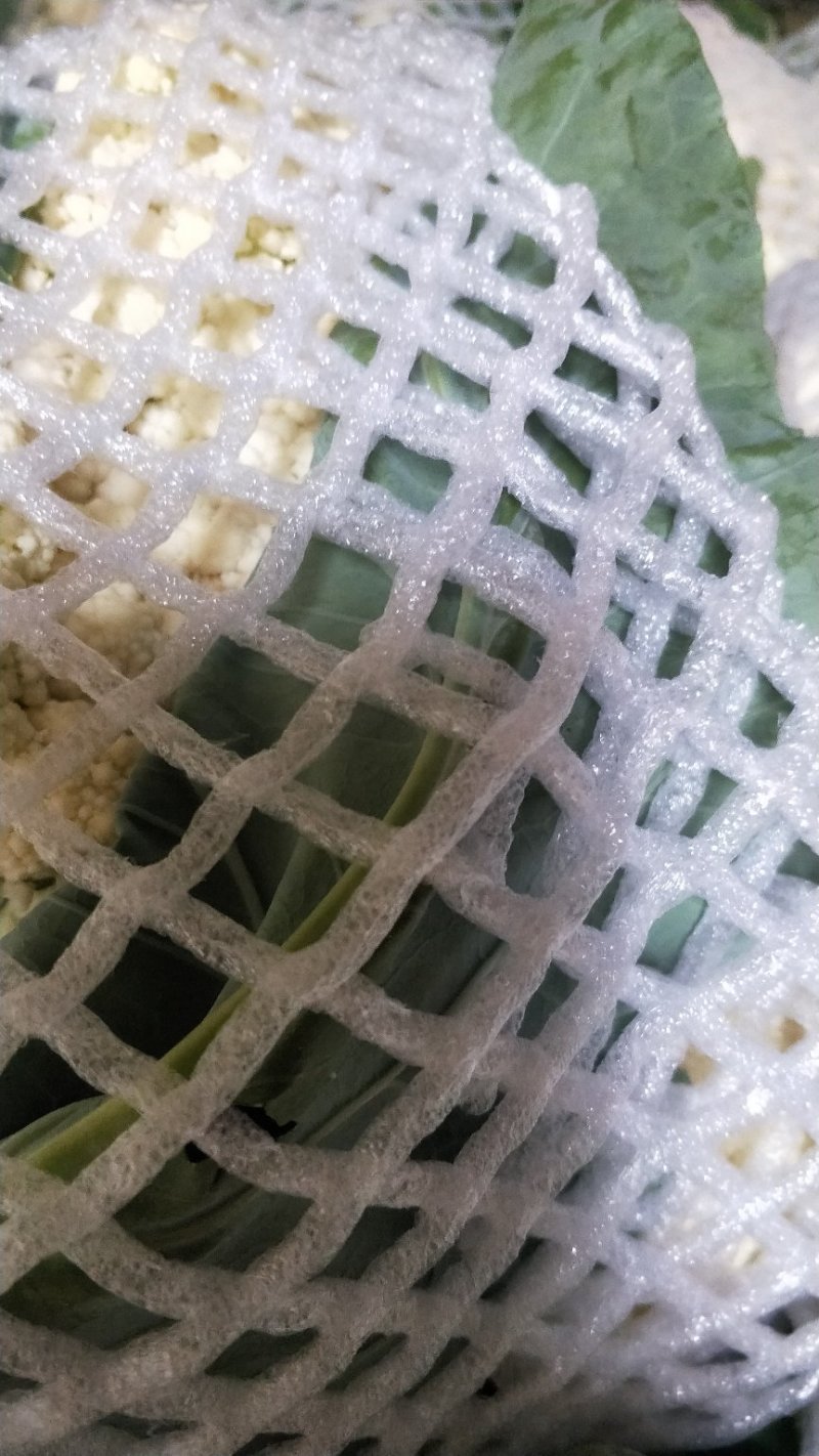 【热卖中】有机菜花新鲜上市量大从优诚信经营