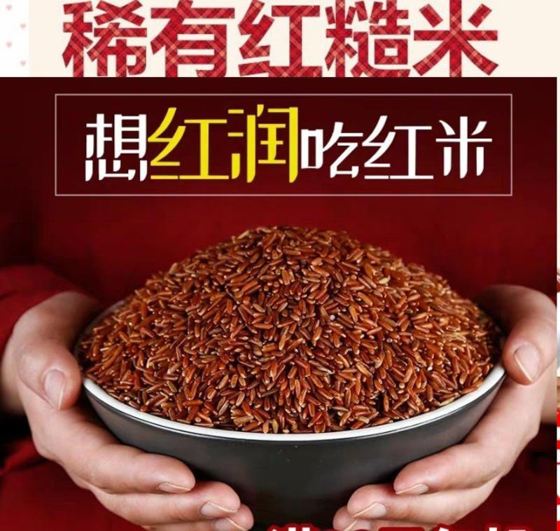 红糙米稀少红糙米会发芽的活米红糙米5斤装包邮
