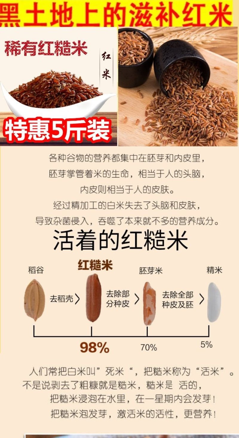 红糙米稀少红糙米会发芽的活米红糙米5斤装包邮