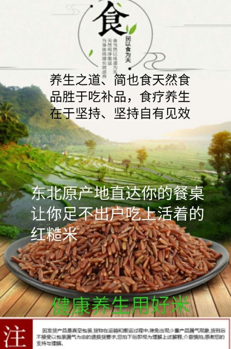 红糙米稀少红糙米会发芽的活米红糙米5斤装包邮