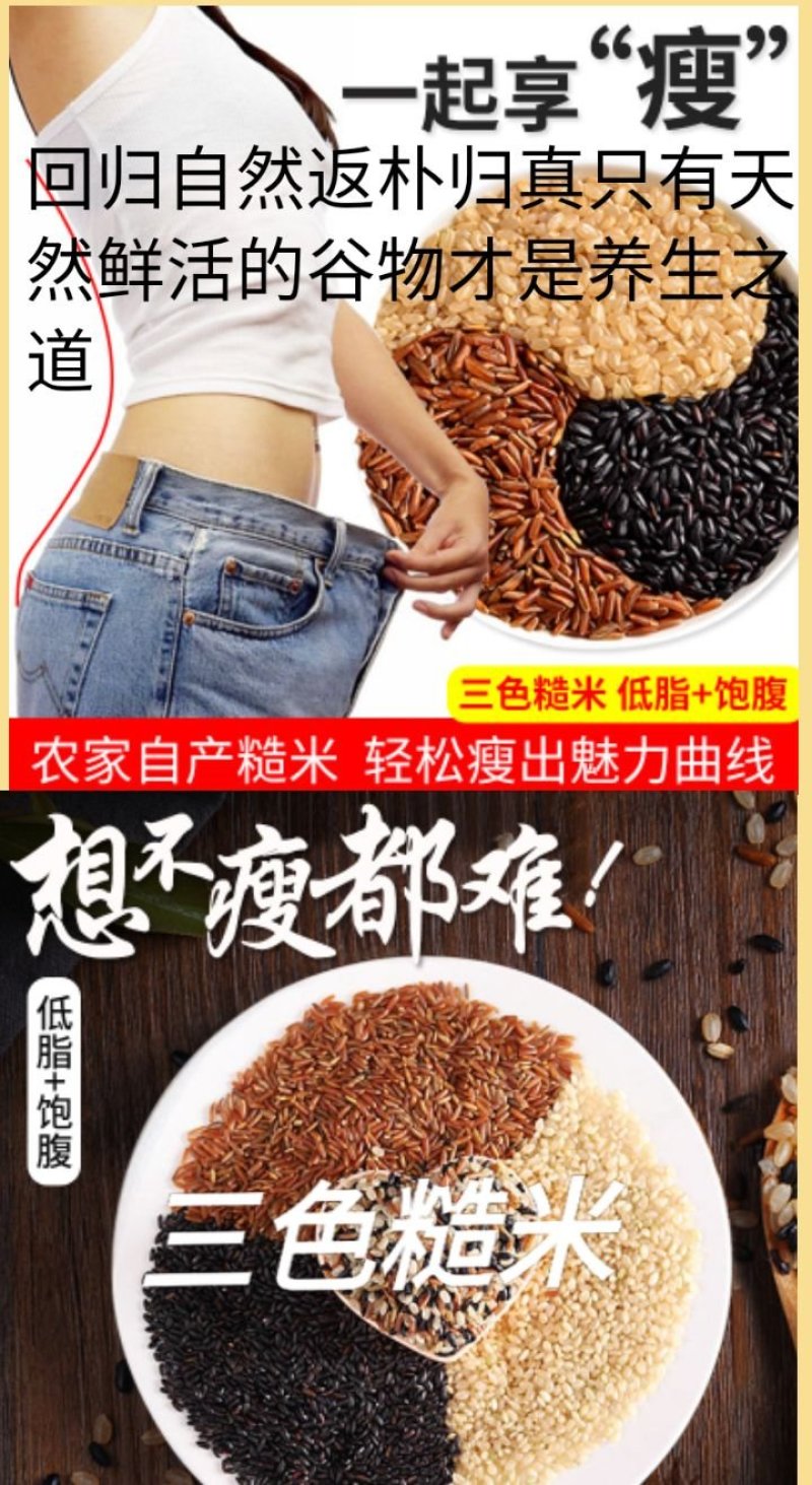 红糙米稀少红糙米会发芽的活米红糙米5斤装包邮