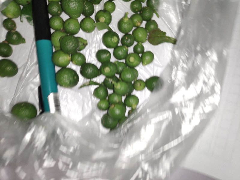 个青（沙糖桔落地果）