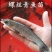 青鱼苗，又名螺丝青，洪湖本地土塘养殖青鱼苗，适应性强！