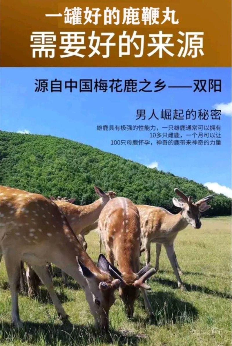 [加强版固肾鹿鞭膏]高浓度浓缩男士鹿鞭膏养精保肾滋补固本