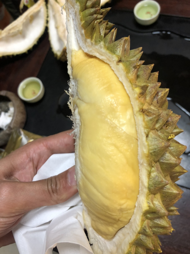 泰国榴莲青尼榴莲新鲜进口榴莲现货一手货源
