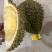 泰国榴莲青尼榴莲新鲜进口榴莲现货一手货源