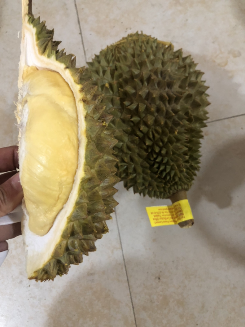 泰国榴莲青尼榴莲新鲜进口榴莲现货一手货源