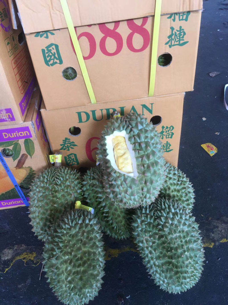 泰国榴莲青尼榴莲新鲜进口榴莲现货一手货源