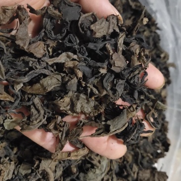 青钱柳（代用茶）