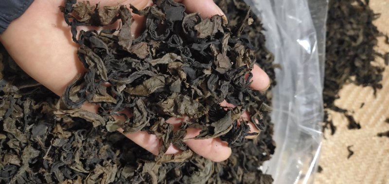 青钱柳（代用茶）