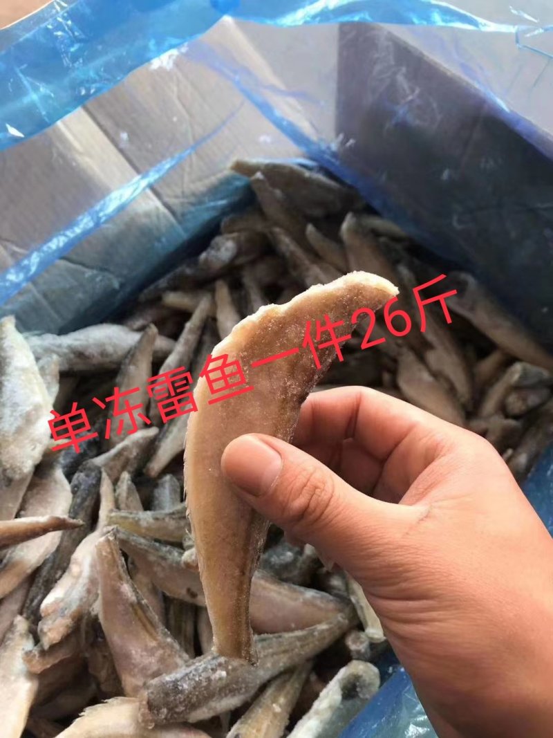 三去雷鱼三去雷鱼单冻雷鱼雷鱼单冻凤尾鱼单冻