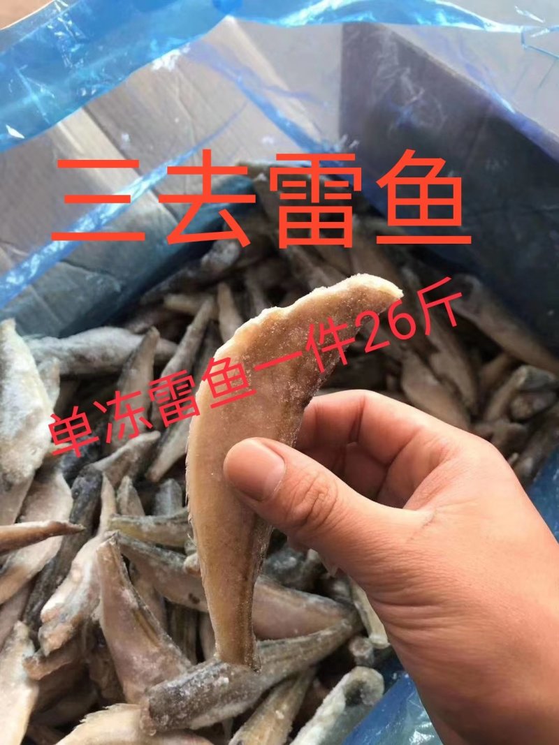 三去雷鱼三去雷鱼单冻雷鱼雷鱼单冻凤尾鱼单冻
