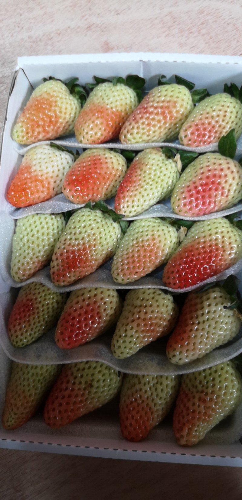 草莓，蒙特瑞草莓，四季草莓，蛋糕烘培草莓