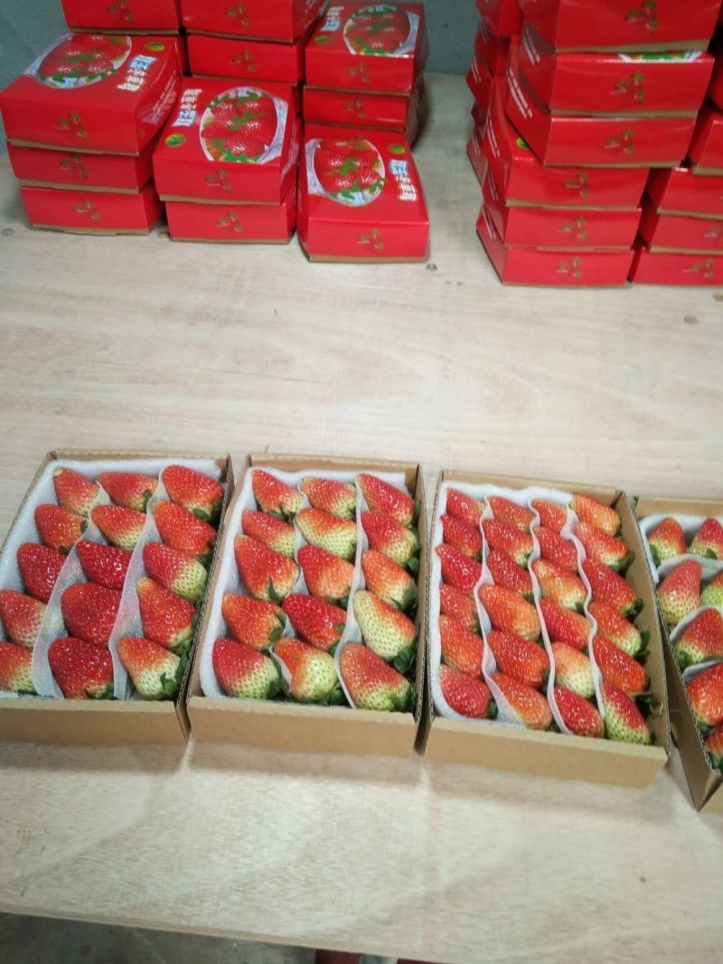 草莓，蒙特瑞草莓，四季草莓，蛋糕烘培草莓