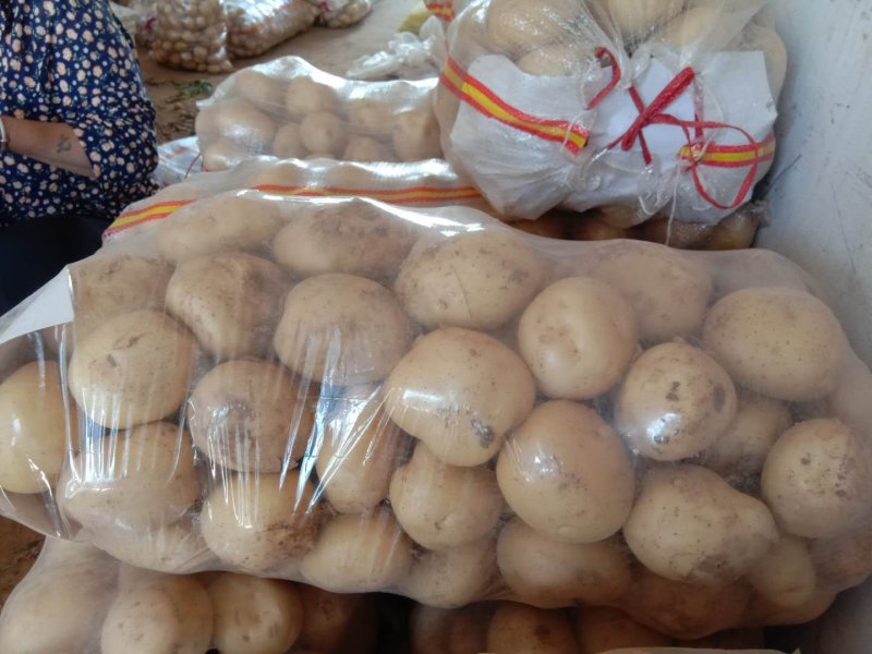 土豆大量上市