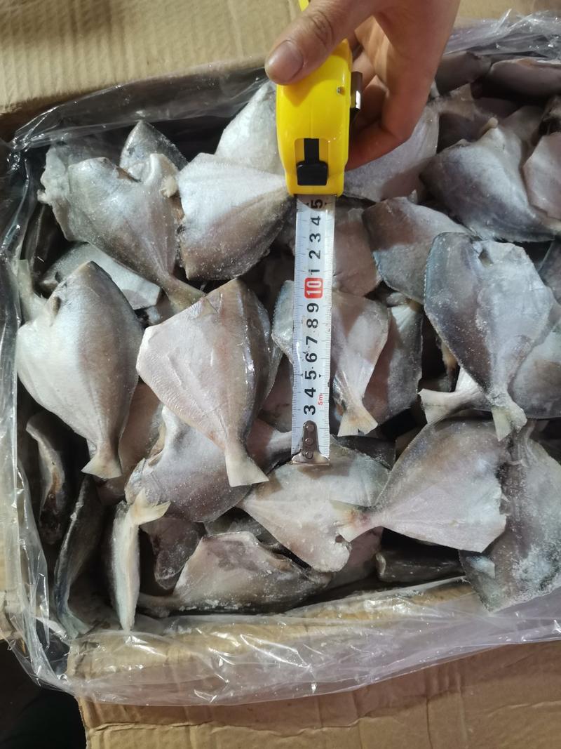 白鲳鱼平鱼去头去内脏新鲜冷冻深海10斤一箱100条左右
