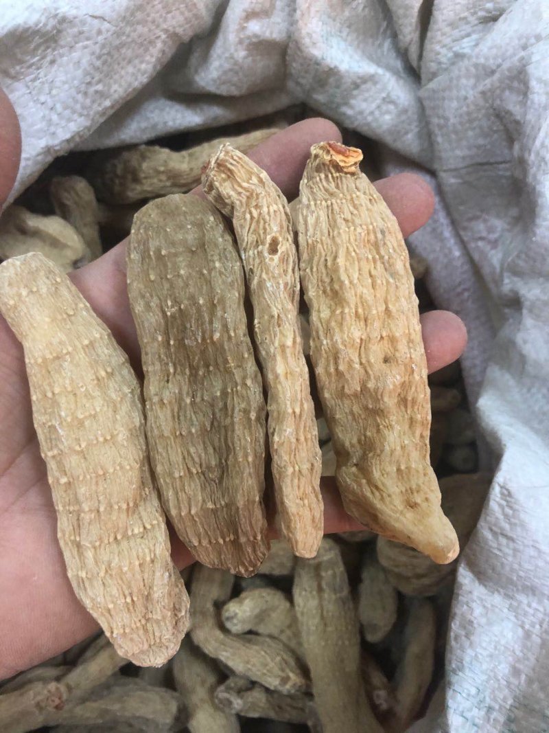 【产地直销】云南红天麻纯天麻粉包邮可一件代发