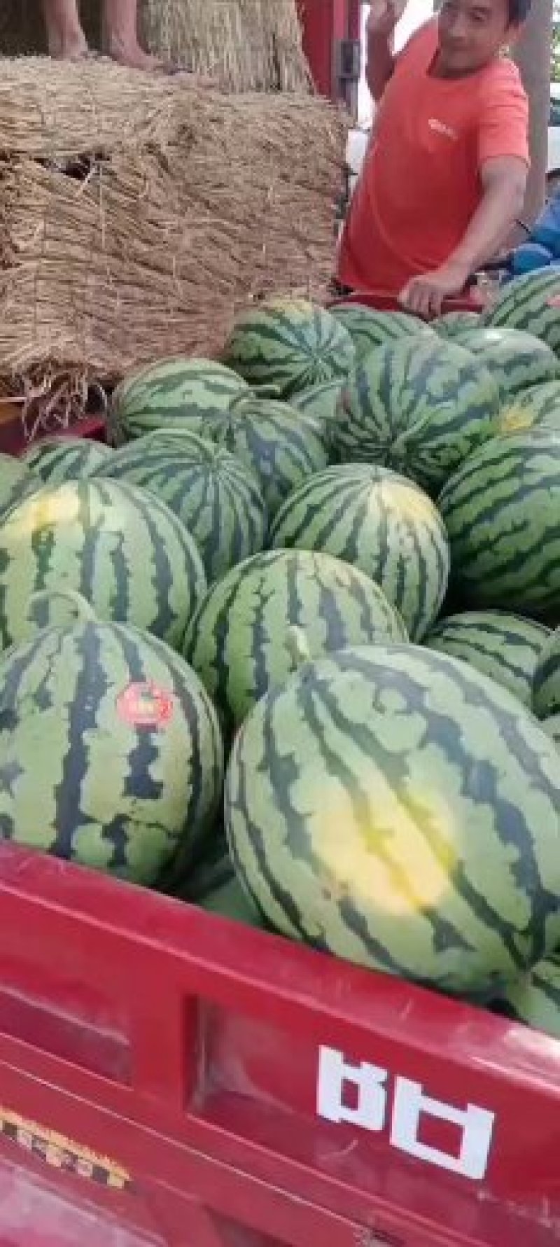 西瓜