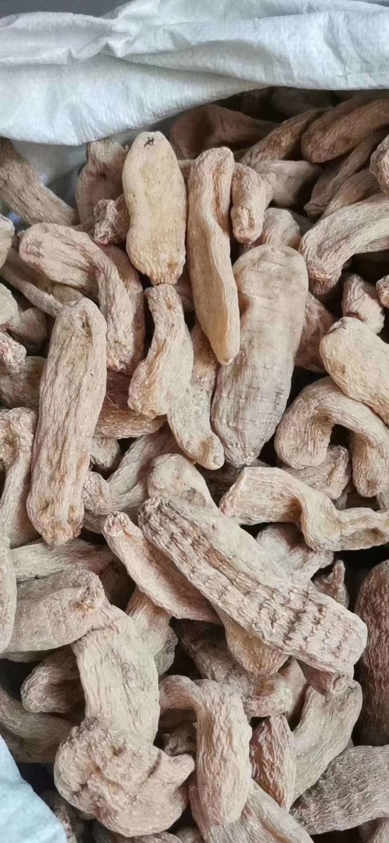 【产地直销】云南红天麻纯天麻粉包邮可一件代发