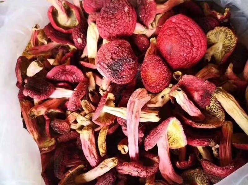 红菇
