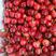 红灯樱桃大棚樱桃大量上市市场公平交易全国发货