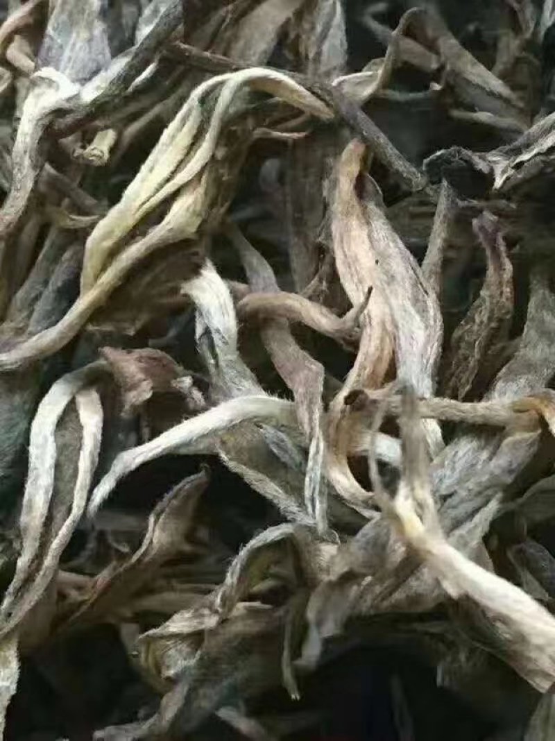 云南西双版纳古树普洱茶