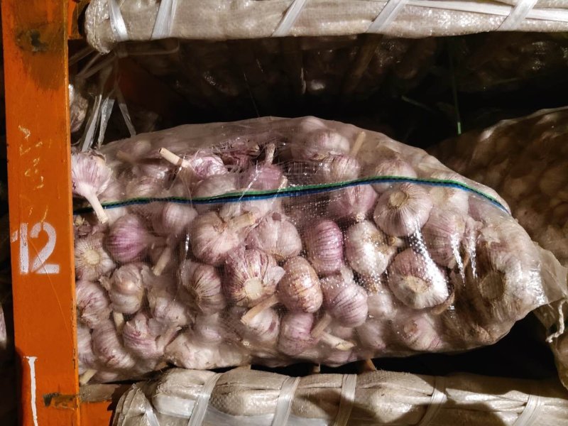 金乡大蒜货发全国，加工改包各种规格都有，欢迎各地客商联系