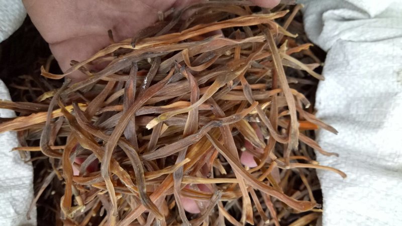 农家熟条黄花菜，手工挑拣，无任何添加，质量保证