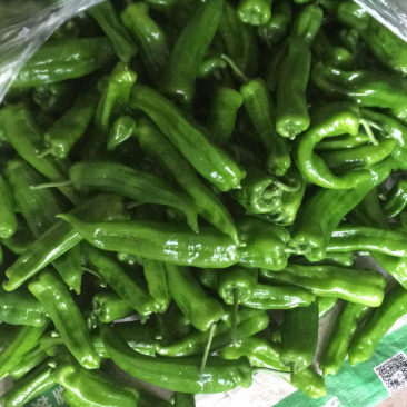 泡椒大量上市有需要的请联系我