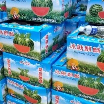 8424无籽西瓜