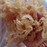 纯手工牛筋面粉条5斤装【小吃店专供包邮】豆皮干货