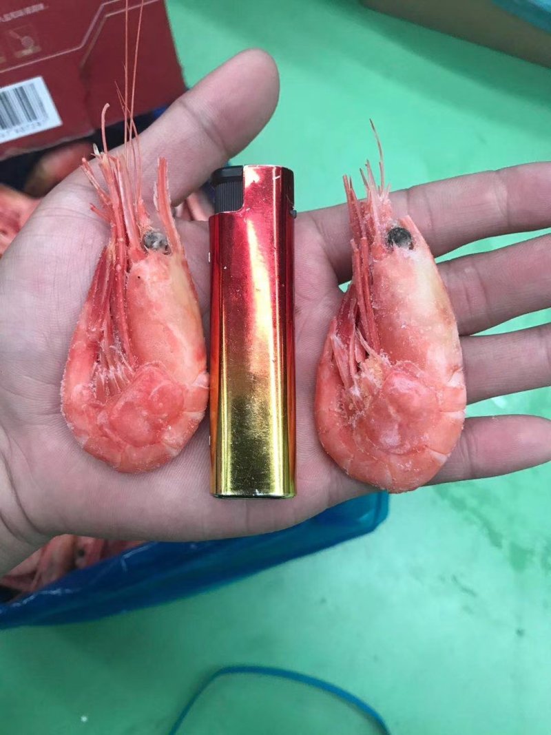 网红北极甜虾中国红，大规格50-60，没有差评的北极甜虾