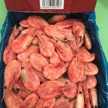 网红北极甜虾中国红，大规格50-60，没有差评的北极甜虾