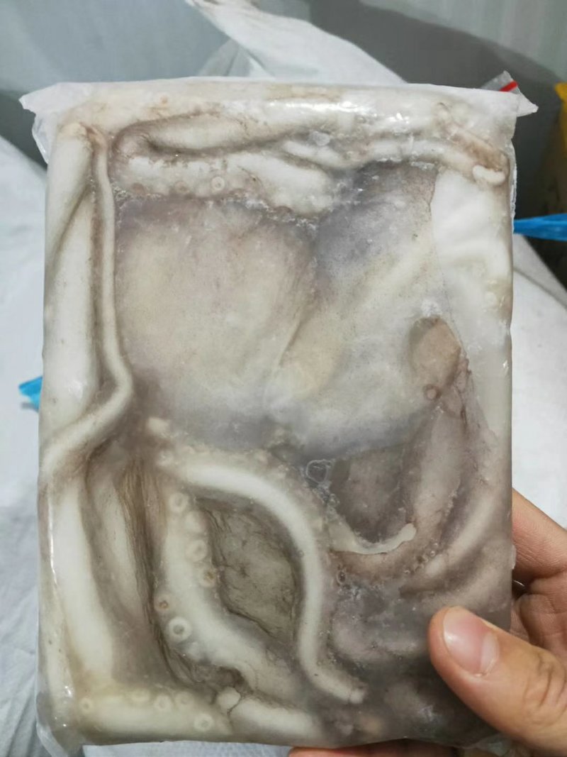 鲜活速冻无冰八爪鱼章鱼长腿爆头海鲜短腿本地八爪火锅食材