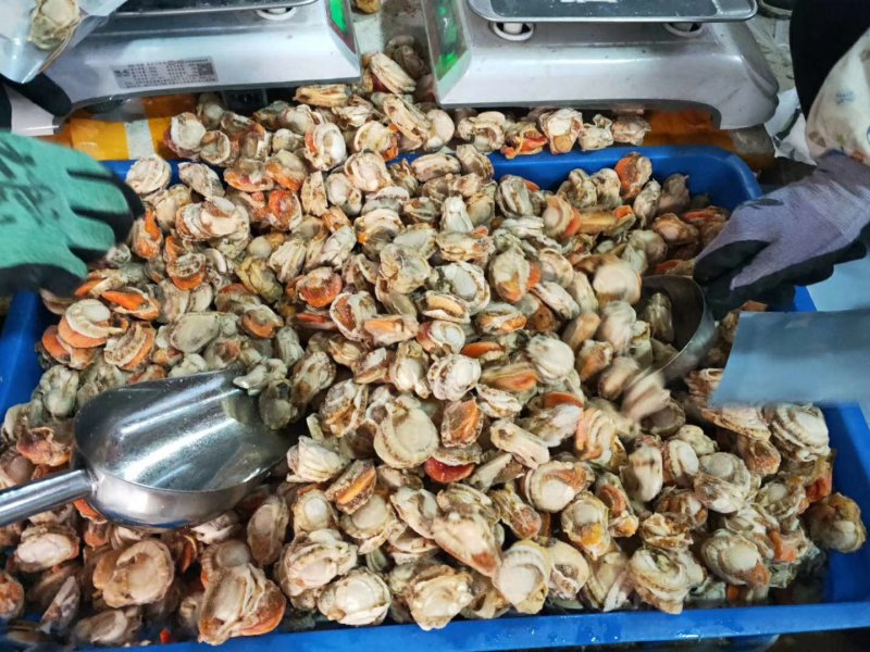 海鲜现剥扇贝肉新鲜冷生贝肉全贝元贝鲜嫩贝肉瑶柱肉