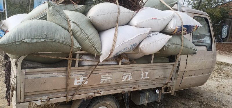 湖北十堰野生大叶艾软包，传供超市网店出售