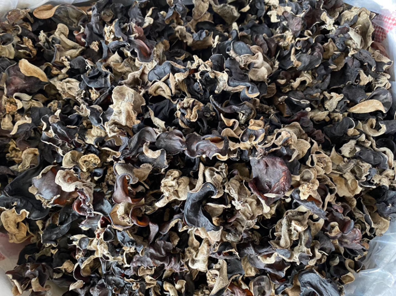 食堂学校小片木耳