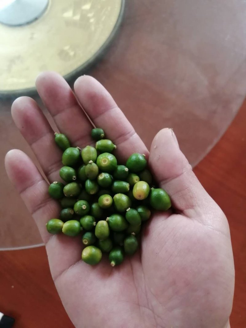 江西赣南脐橙枳实无硫，添加