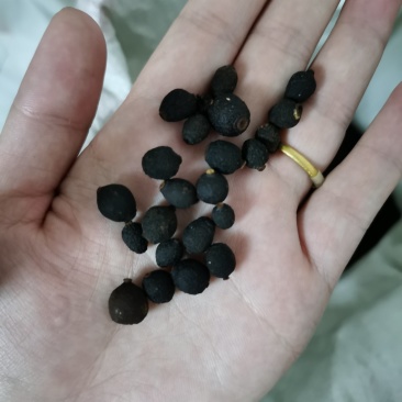 江西赣南脐橙枳实无硫，添加