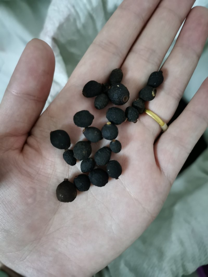 江西赣南脐橙枳实无硫，添加